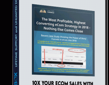 10X Your Ecom Sales With Nicely Crafted DFY Stories – Viral Story Funnels