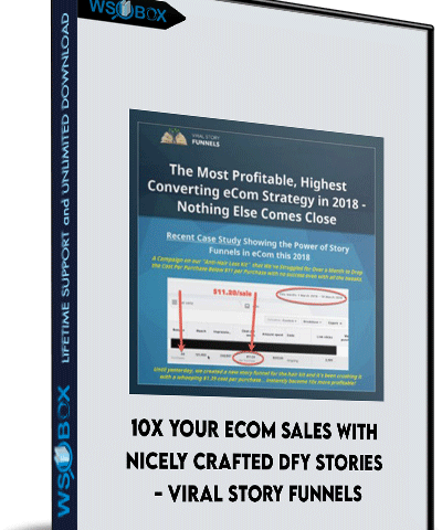 10X Your Ecom Sales With Nicely Crafted DFY Stories – Viral Story Funnels