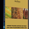Ambush-Trading-Method-on-Wheat-and-Corn-(tradingeducators.com)---Joe-Ross