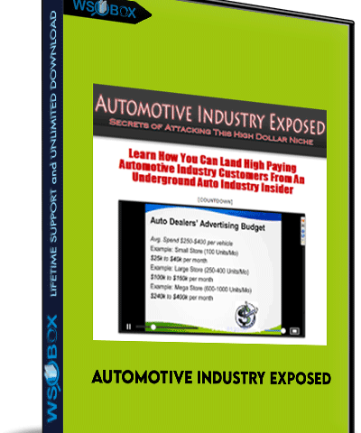 Automotive Industry Exposed