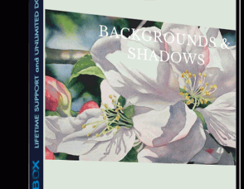 Backgrounds & Shadows Special 6-week Interactive course – Birgit O’Connor