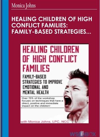 Healing Children Of High Conflict Families: Family-Based Strategies To Improve Emotional And Mental Health – Monica Johns