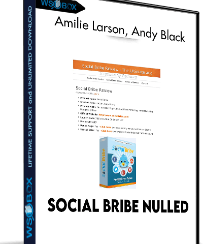 Social Bribe Nulled – Amilie Larson, Andy Black