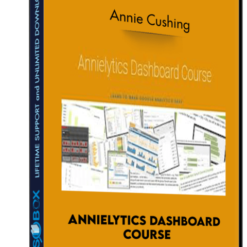 Annielytics Dashboard Course – Annie Cushing