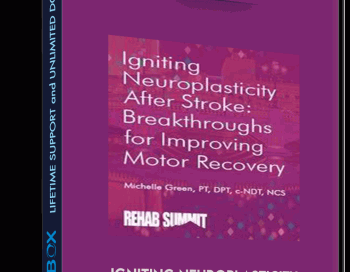 Igniting Neuroplasticity after Stroke: Breakthroughs for Improving Motor Recovery – Michelle Green