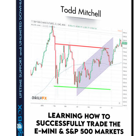 Learning How To Successfully Trade The E-mini & S&P 500 Markets – Todd Mitchell