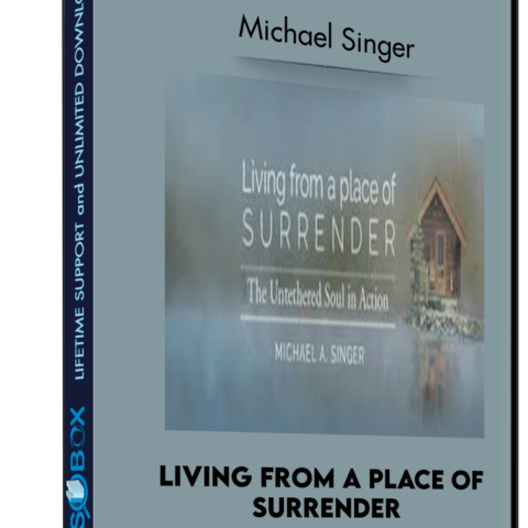 Living From A Place Of Surrender – Michael Singer