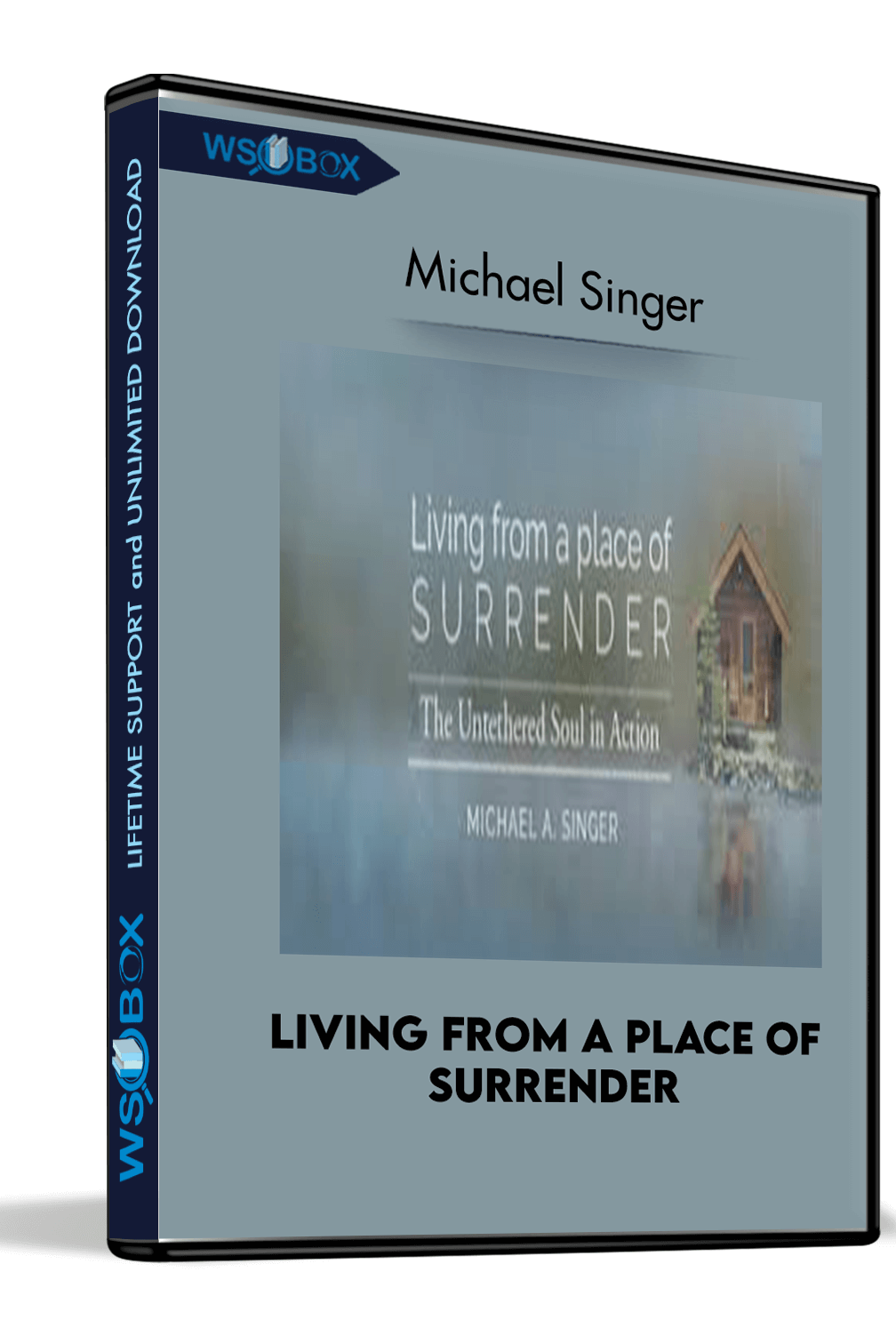 Living From A Place Of Surrender – Michael Singer