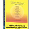 nerves-tendons-and-ligaments-sound-healing-center