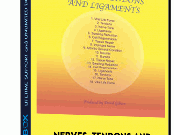 Nerves, Tendons and Ligaments – Sound Healing Center