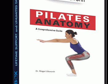 Pilates Anatomy A Comprehensive Guide – Abigail Ellsworth