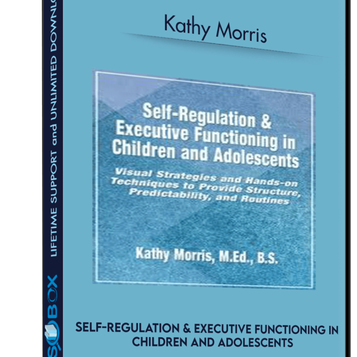 self-regulation-executive-functioning-in-children-and-adolescents-visual-strategies-and-hands-on-techniques-to-provide-structure-predictability-and-routines-kathy-morris