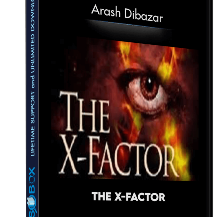 the-x-factor-arash-dibazar