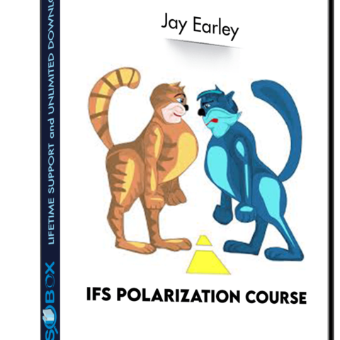 IFS Polarization Course – Jay Earley