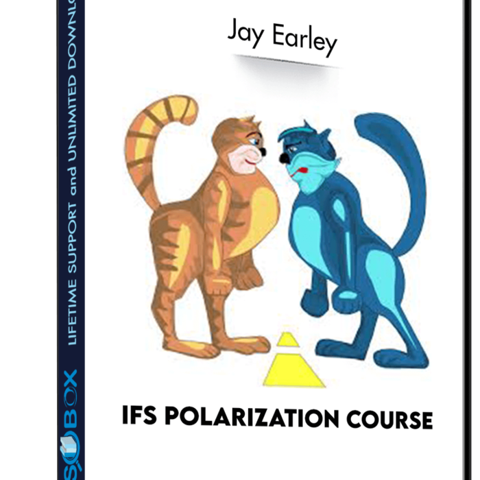 ifs-polarization-course-jay-earley