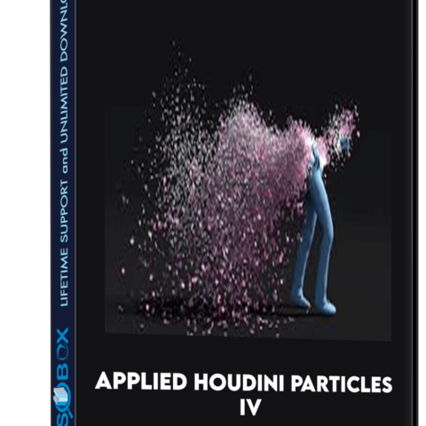 Applied Houdini Particles IV