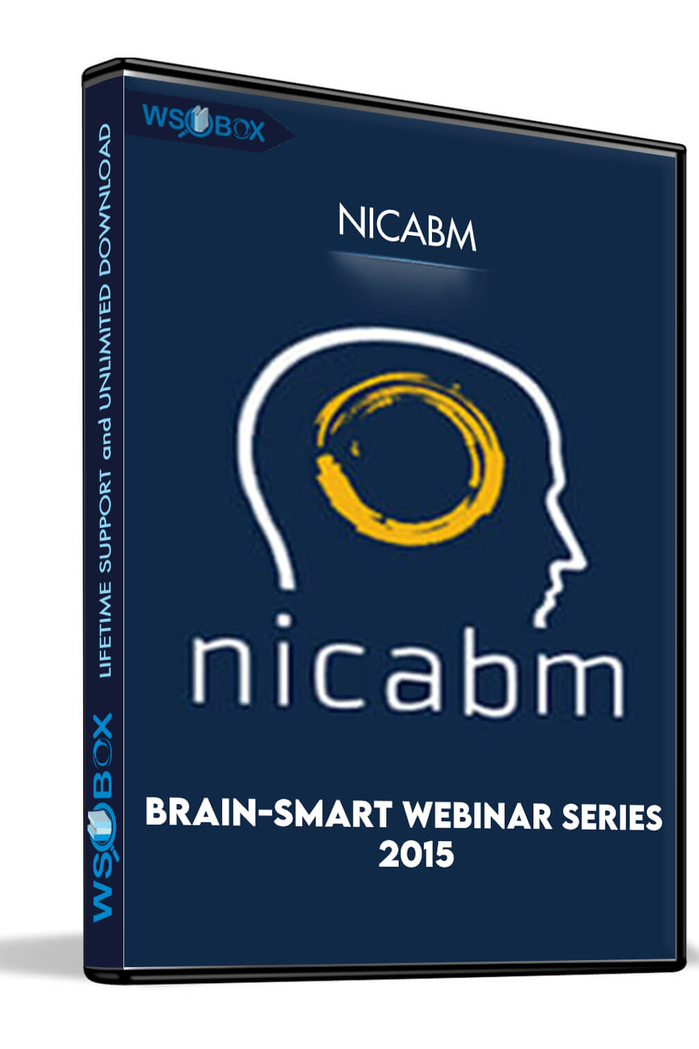 Brain-Smart Webinar Series 2015 – NICABM