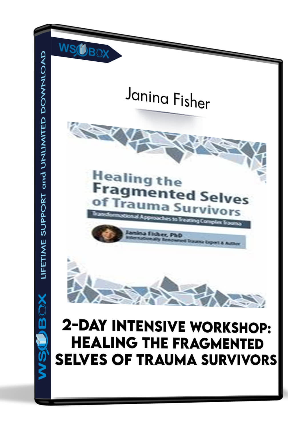 2-Day Intensive Workshop: Healing the Fragmented Selves of Trauma Survivors: Transformational Approaches to Treating Complex Trauma – Janina Fisher