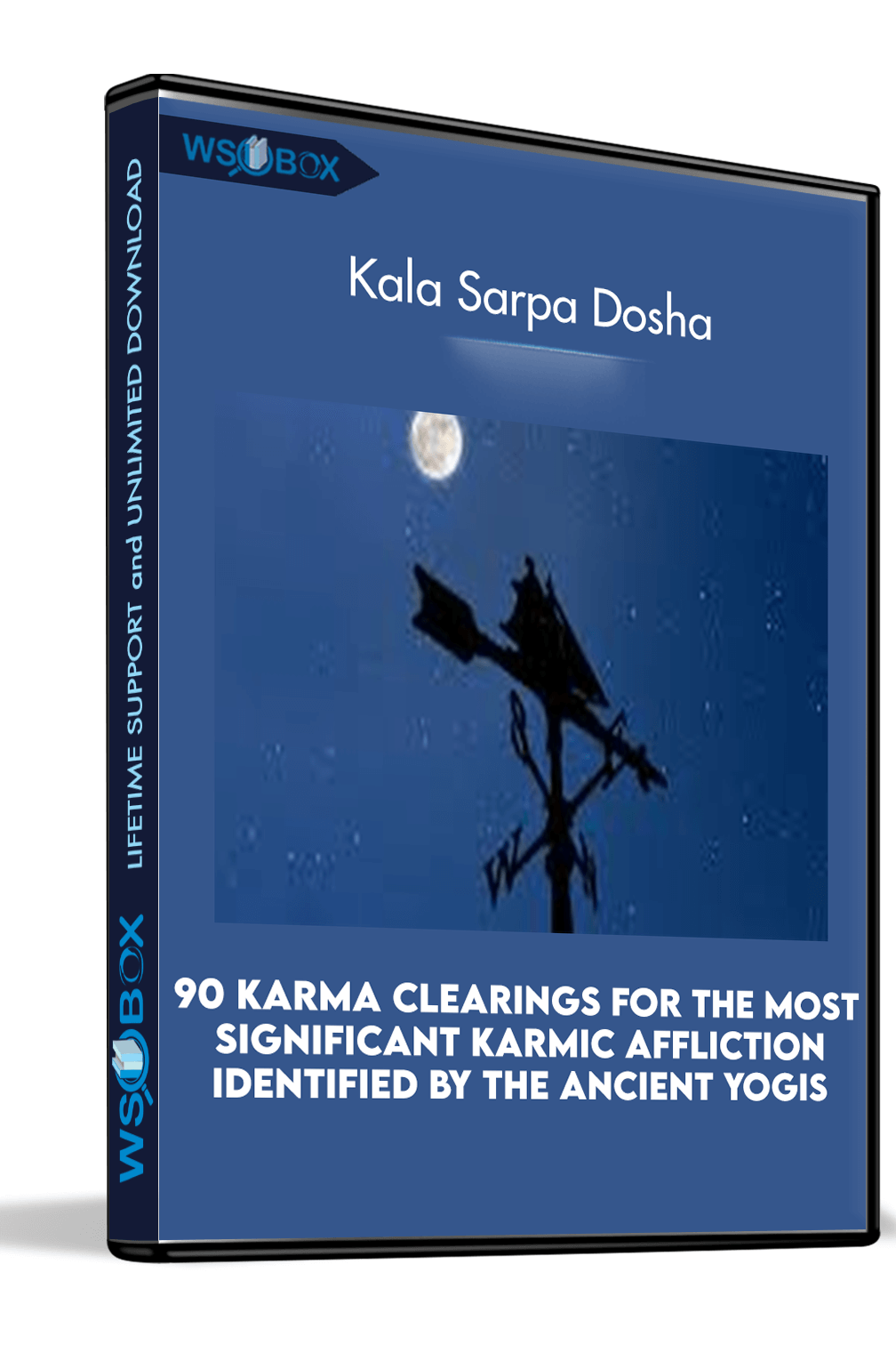 90 Karma Clearings for the Most Significant Karmic Affliction Identified By the Ancient Yogis — “Kala Sarpa Dosha”: the Karma of the Nodes, Worry, Fear about the Future, Destabilization