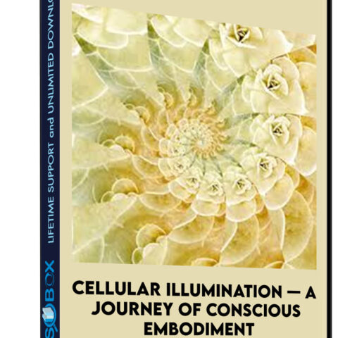 Cellular Illumination — A Journey Of Conscious Embodiment