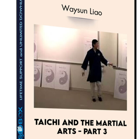 Taichi And The Martial Arts – Part 3 – Waysun Liao