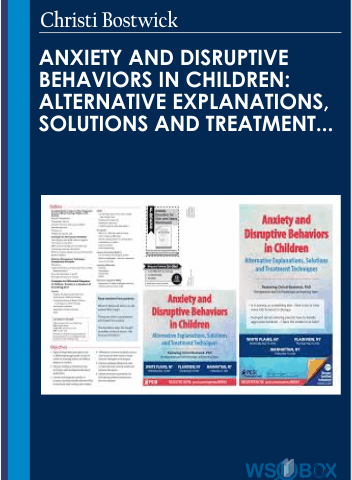 Anxiety And Disruptive Behaviors In Children: Alternative Explanations, Solutions And Treatment Techniques – Christi Bostwick