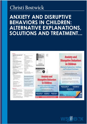Anxiety and Disruptive Behaviors in Children: Alternative Explanations, Solutions and Treatment Techniques – Christi Bostwick
