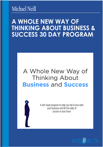 A Whole New Way of Thinking About Business and Success 30 Day Program by Michael Neill