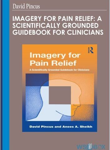 Imagery For Pain Relief: A Scientifically Grounded Guidebook For Clinicians – David Pincus