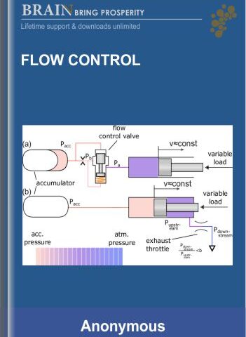 Flow Control – Claus Levin