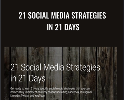 21 Social Media Strategies In 21 Days – Shaina Weisinger