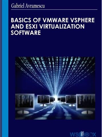 Basics Of VMware VSphere And ESXi Virtualization Software – Gabriel Avramescu