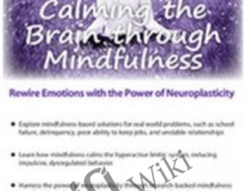 Calming the Brain through Mindfulness: Rewire Emotions with the Power of Neuroplasticity – Mark L. Beischel