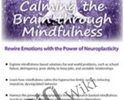 Calming The Brain Through Mindfulness: Rewire Emotions With The Power Of Neuroplasticity – Mark L. Beischel