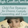 Clinical Ethical Best Practices for High Conflict FamiliesChild First Strategies for Divorce2C Custody2C Coparenting2C and Court - eBokly - Library of new courses!