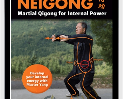 Dr Yang Jwing Ming Neigong Martial Qigong for Internal Power - eBokly - Library of new courses!
