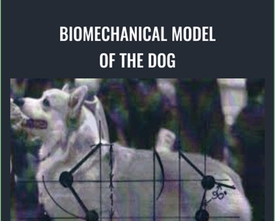 BioMechanical Model Of The Dog – Evgenij Yerusalimsky