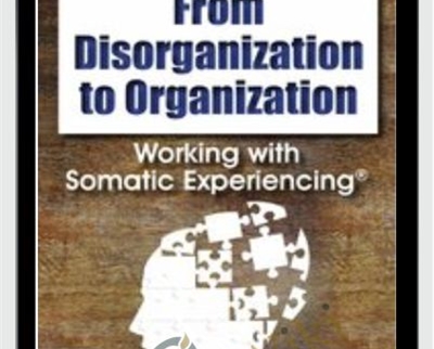From Disorganization to Organization Working with Somatic - eBokly - Library of new courses!