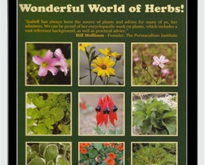 Herb Course: The Wonderful World Of Herbs! – Isabell Shipard