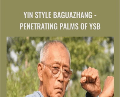 Yin style Baguazhang – Penetrating Palms of YSB – Liu Shichang