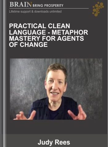 Practical Clean Language – Metaphor Mastery For Agents Of Change – Judy Rees