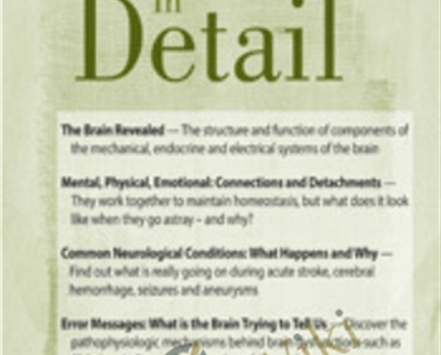 The Brain in Detail Sean G Smith - eBokly - Library of new courses!