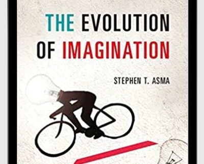 The Evolution Of Imagination