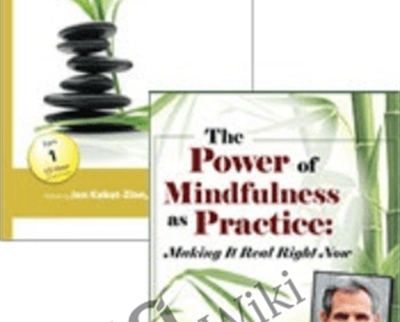 The Power of Mindfulness as Practice Mindfulness2C Healing and Transformation - eBokly - Library of new courses!