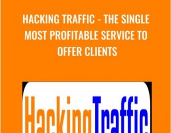 Hacking Traffic – The Single Most Profitable Service To Offer Clients