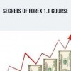 Secrets Of Forex 1.1 Course – Debtfreedomfx
