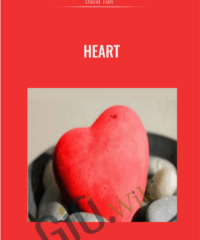 Heart  – David Tian