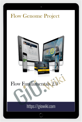 Flow Fundamentals 20 E28093 Flow Genome Project - eBokly - Library of new courses!