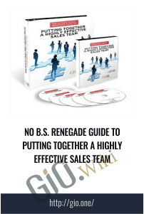 No B S Renegade Guide To Putting Together A Highly Effective Sales Team - eBokly - Library of new courses!