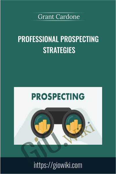 Professional Prospecting Strategies - eBokly - Library of new courses!